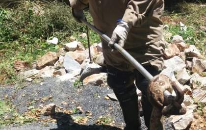 Mulher encontra jiboia de 1,5 metro no quintal de casa
