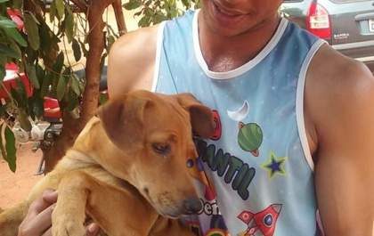 Gari salva cachorra de ser triturada em caminhão de lixo