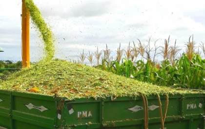Governo de Andradina auxilia pequenos produtores por meio da Secretaria de Agricultura e Abastecimento