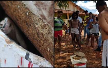 Jibóia de dois metros é capturada em quintal de residência em Castilho
