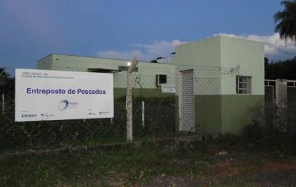 Para liberar operações do frigorífico de peixes, Iagro aguarda documentações da cooperativa