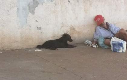 Cão cuida de morador de rua que perdeu a filha em acidente