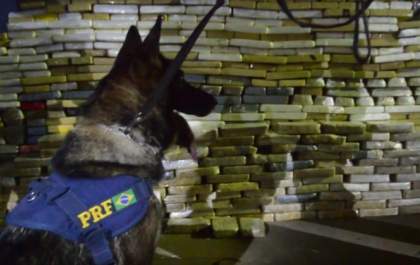 Uma tonelada de cocaína é apreendida na BR-262; dono do carregamento é preso