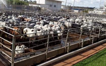 JBS demite 600 funcionários de frigorífico desativado em MS