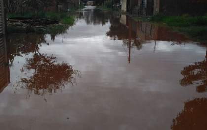 Forte chuva derruba árvore e alaga ruas na Capital