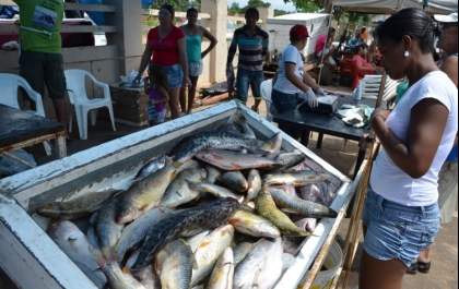 Mais de 15 toneladas de peixe foram comercializadas durante feira