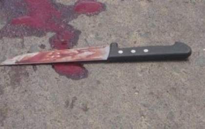 Após assassinar cachorro, homem é multado por maus-tratos