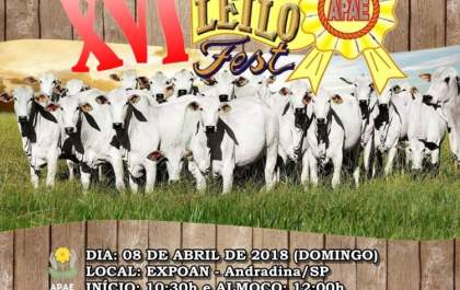 Domingo tem leilão de animais da APAE de Andradina
