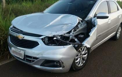 Motorista atropela cavalo na BR 158 em Três Lagoas