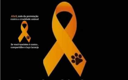 Abril é mês da prevenção contra a crueldade animal