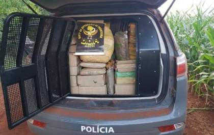 DOF encontra mais de 100kg de maconha e 18 kg de versão 'mais forte' da droga