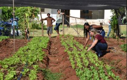 Horta do Centro POP é restaurada e começa a produzir verduras e legumes