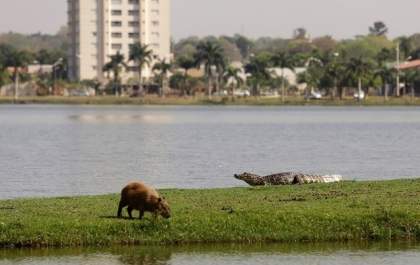 Definido cronograma das comemorações dos 103 anos de TL