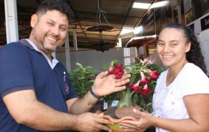 Mademinas realiza 1ª Exposição de rosas do deserto em Três Lagoas