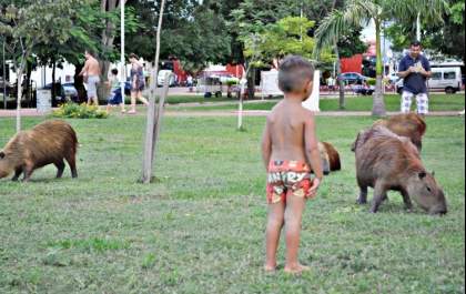 Sábado em Três Lagoas será de muito sol e temperatura em torno de 35ºC