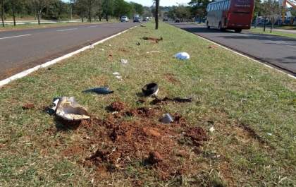 Em noite violenta, Capital teve nove roubos, duas mortes e uma prisão