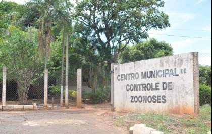 CCZ faz levantamento do número de cães e gatos existentes em Três Lagoas