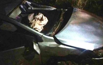 Veículo capota ao atingir tamanduá e cinco pessoas ficam feridas
