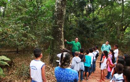 Horto Florestal de Andradina é um pedaço da Mata Atlântica