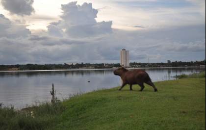 Mesmo com sol, temperatura permanece baixa em Três Lagoas