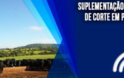 Suplementação de Bovinos de Corte em Pastagens é tema de curso à distância do Departamento de Zootecnia da ESALQ/USP