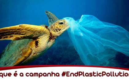 Conheça a campanha #EndPlasticPollution da ONU Meio Ambiente