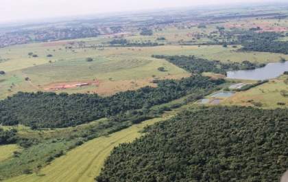 Decreto cria oficialmente a Floresta Estadual Paulista