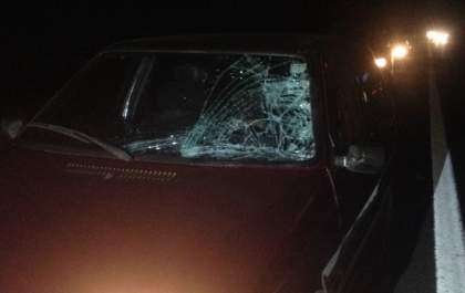 Carro colide em animal na Marechal Rondon; família não sofreu escoriações
