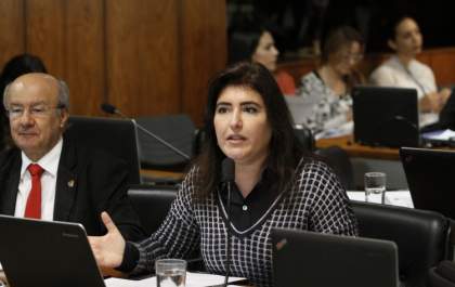 Simone Tebet defende criação de comitê gestor