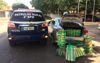 Patrulha Rural de Três Lagoas faz apreensão de mais de 400 Kg de maconha