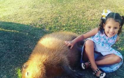 Capivara recebe carinho de crianças na Lagoa Maior; veja o vídeo