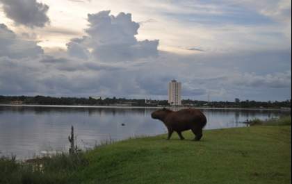 Mínima deve ser de 4ºC nesta quarta-feira em Três Lagoas