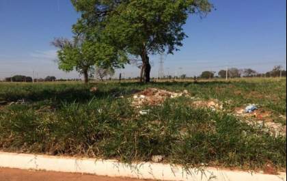 80% dos mais de 20 mil terrenos baldios foram fiscalizados em Três Lagoas