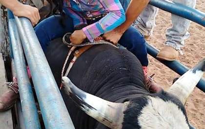 Morte de peão pisoteado por touro gera discussão sobre rodeios