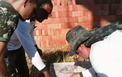 Índice de infestação do Aedes aegypti está baixo em Três Lagoas, 