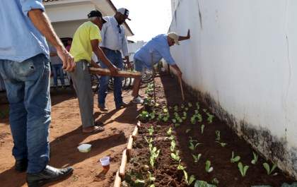 Morador de assentamento doa mudas para horta de pacientes do CAPS de Três Lagoas