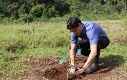 Programa irá premiar quem prestar serviços ambientais em MS