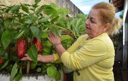 Aposentada há dez anos,  Terezinha transforma seu jardim em uma nova paixão