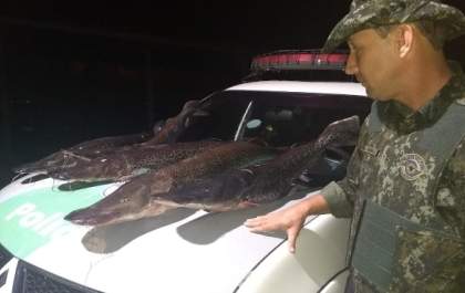 Polícia Ambiental apreende quase 50 quilos de peixes