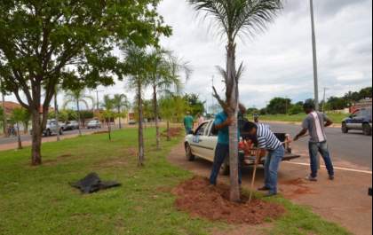 Governador autoriza revitalização da Clodoaldo Garcia até 10 de agosto e quer inaugurar Hospital Regional em dezembro