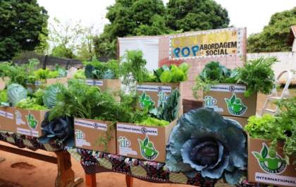 Produção da horta do Centro Pop é distribuída aos SCFVs para consumo