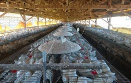 Diretoria de Agronegócio leva produtores rurais do Pontal do Faia