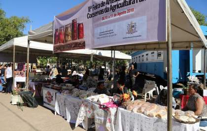 Feira de Artesanato, Doces e Conservas atrai grande público e fortalece agricultura familiar