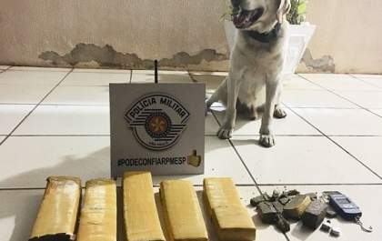 Homem é preso com quase cinco quilos de maconha em Panorama