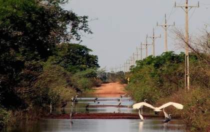 Águas do Rio Paraguai sobem e trecho de MS-228 é interditado novamente