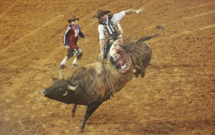 Por 0,5 ponto, peão de Murutinga vence rodeio internacional de Barretos