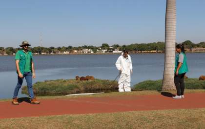 Prefeitura de Três Lagoas realiza ação para captura do carrapato-estrela na Lagoa Maior