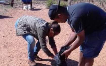 Equipes da Saúde de Três Lagoas encerram multivacinação na zona rural