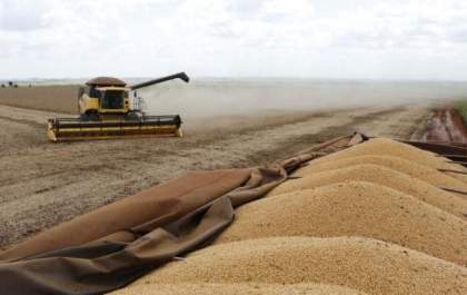 MS tem dois municípios entre os 20 maiores produtores de soja do país