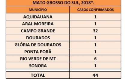 Casos de zika crescem 193% com relação ao mesmo período de 2018
